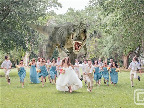 Bridezilla